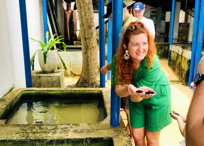 Royal Ceylon Tours - Tour Image